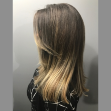 MerakiLongLtBrownHair